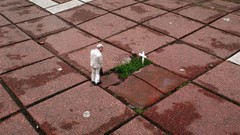 Grass cross Utopia micro pavement memorial streets artwork 