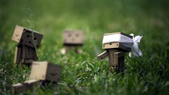Grass danboard