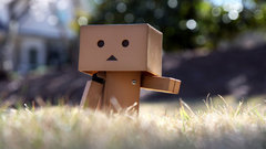 Grass danboard depth of