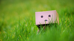 Grass danboard depth of