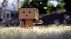 Grass danboard depth of