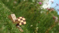 Grass danboard depth of