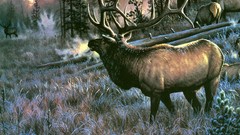 Grass deer horns forests Cold Winter