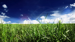 grass digital art Plants sky clouds blue