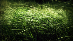 Grass Earth Typography