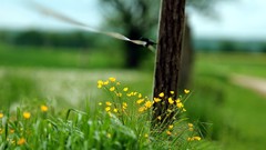 Grass fences