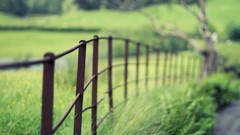 Grass fences