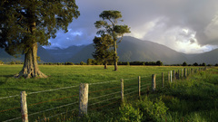 Grass field hills fence ranch