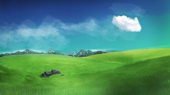 Grass fields blue skies