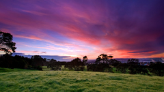 Grass fields Green clouds