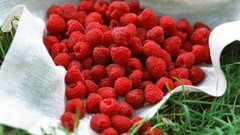 Grass fruits raspberries