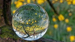 Grass glass marbles