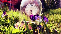 Grass glass time clocks