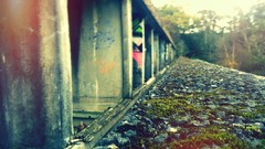 Grass graffiti rocks railway