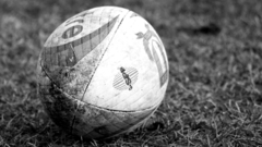 Grass grayscale monochrome depth