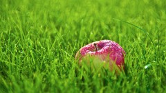 Grass Green apples food