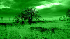 Grass Green high Resolution