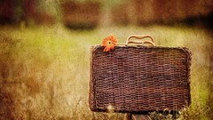 Grass grunge baskets orange flowers