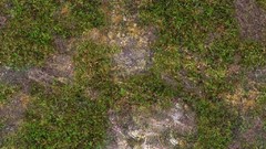 Grass hills Textures