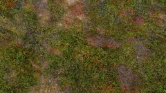 Grass hills Textures