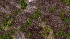Grass hills Textures