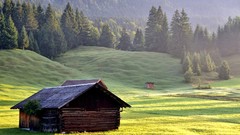 Grass houses forests