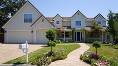 Grass houses lawn window