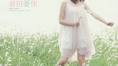 Grass Japanese fields models