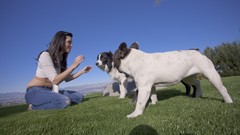 Grass jeans pornstars Sunny Leone tight pants