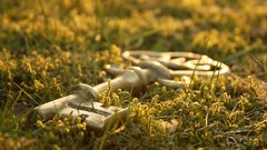 Grass keys Hearts castle