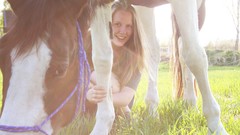 Grass light Horses ponies