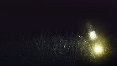 Grass light Photo manipulation artwork fantasy art magical