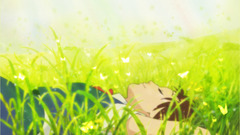 Grass lying down closed