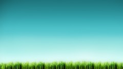 Grass minimalistic