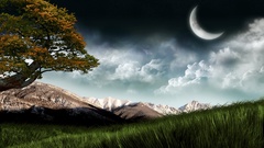 Grass moon mountain tree