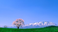 Grass Mountains nature