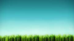 grass nature digital art Minimalism Green sky