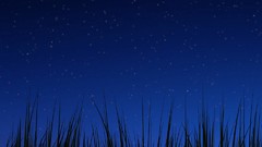 Grass night android motorola