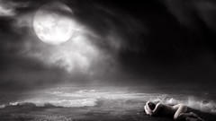 Grass night moon human