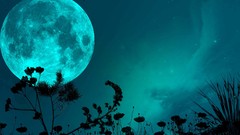 Grass night Stars moon blade moonlight shadows skies night sky