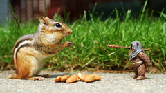 Grass nuts spears chipmunks