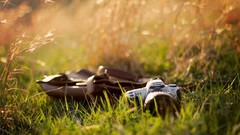 Grass Objects Cameras