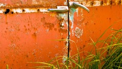 Grass orange retro rust