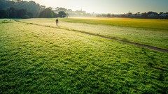 Grass pathway New Zealand fields sunlight