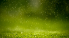 Grass rain
