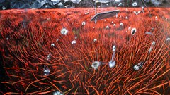 Grass red drawings swings