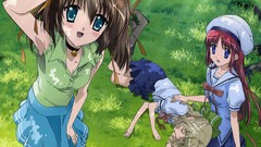 Grass sakura da capo Nemu