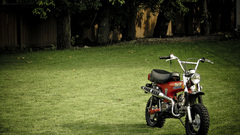 Grass Scooters lawn motorbikes