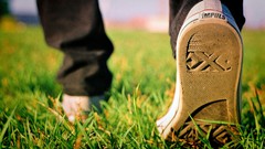 Grass Shoes sneakers