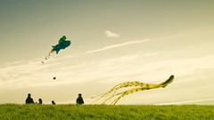 Grass sky New Zealand kite